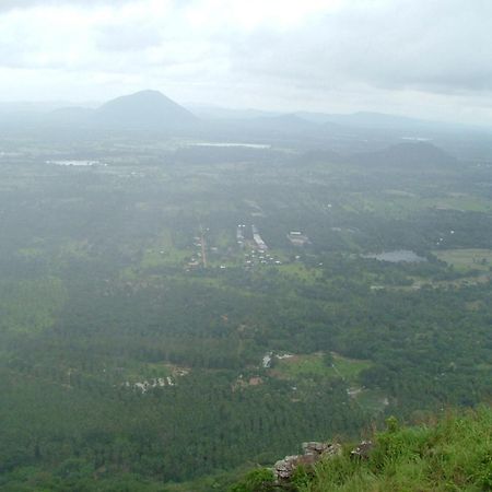 Raintree Villa Dambulla Dış mekan fotoğraf