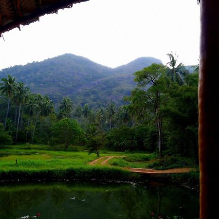 Raintree Villa Dambulla Dış mekan fotoğraf