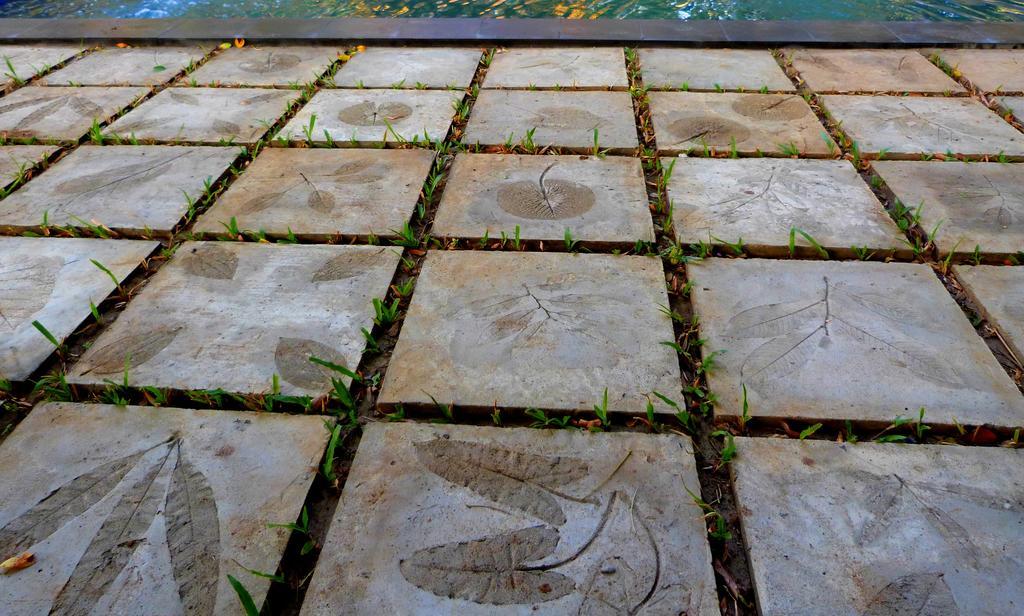 Raintree Villa Dambulla Dış mekan fotoğraf