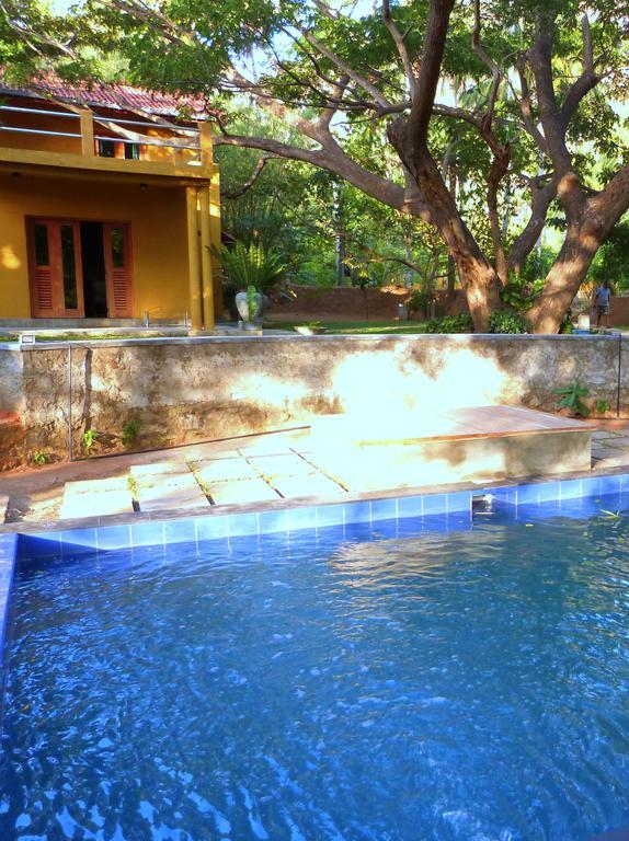 Raintree Villa Dambulla Dış mekan fotoğraf
