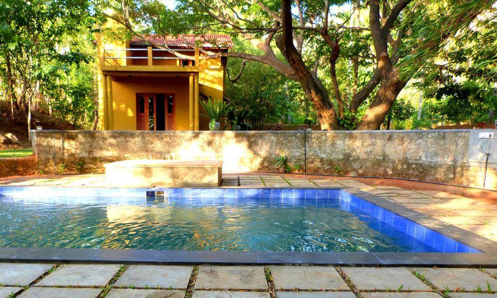 Raintree Villa Dambulla Dış mekan fotoğraf