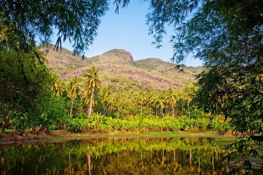 Raintree Villa Dambulla Dış mekan fotoğraf