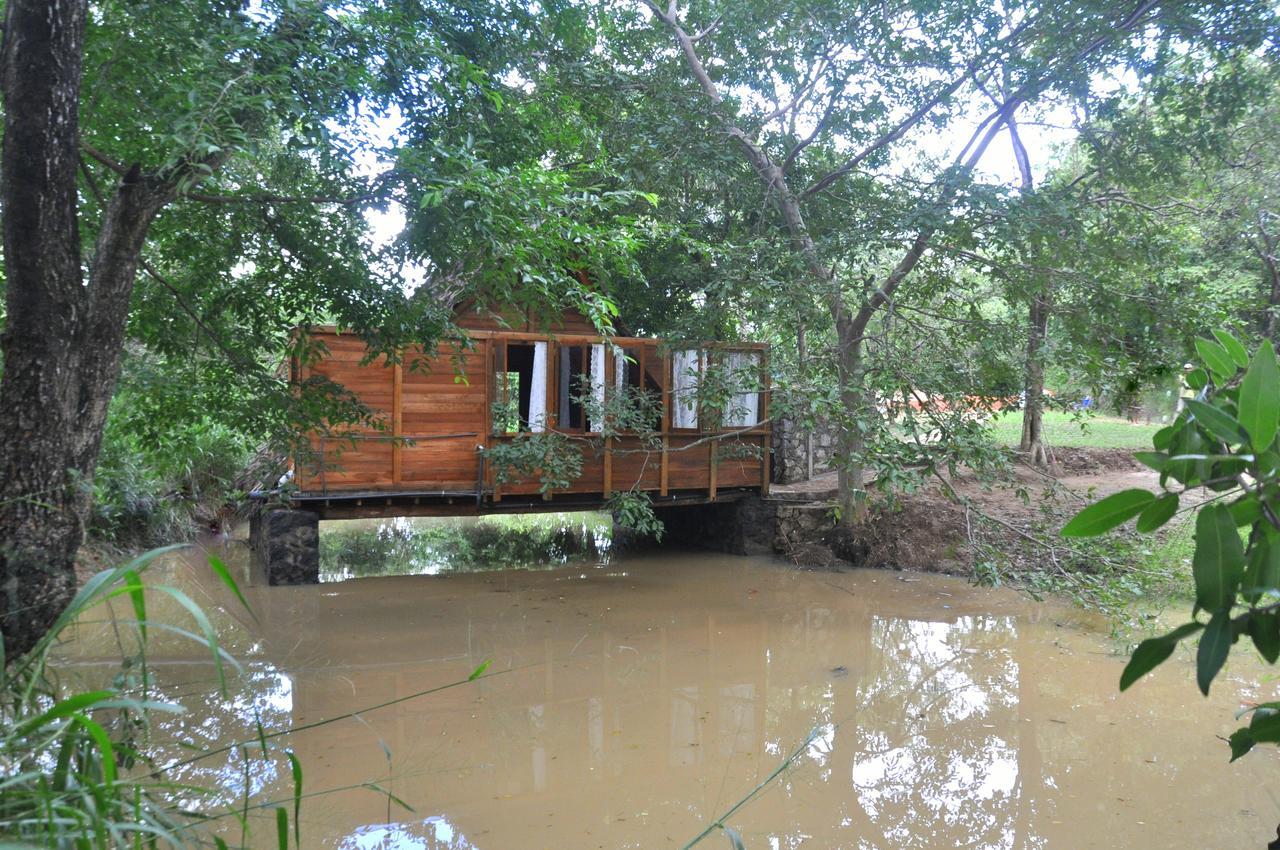 Raintree Villa Dambulla Dış mekan fotoğraf