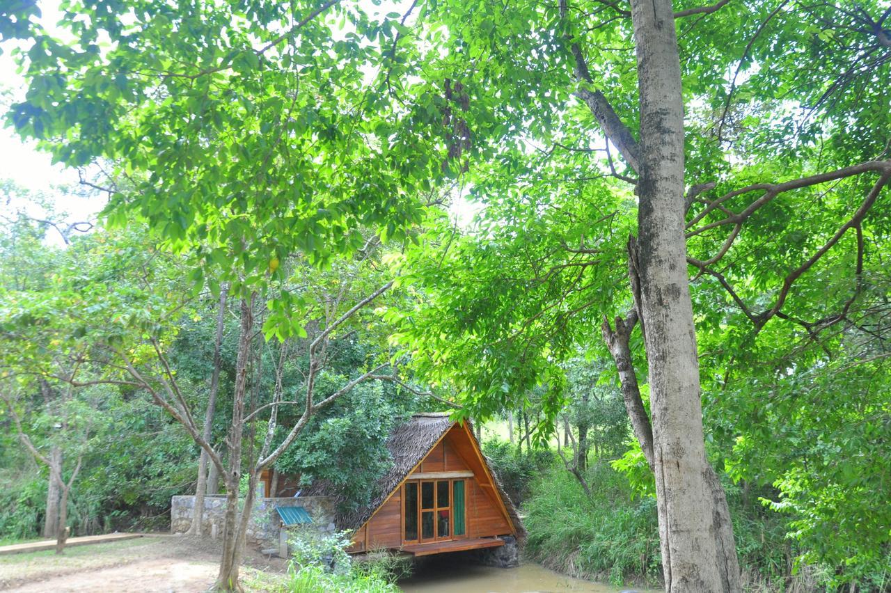 Raintree Villa Dambulla Dış mekan fotoğraf