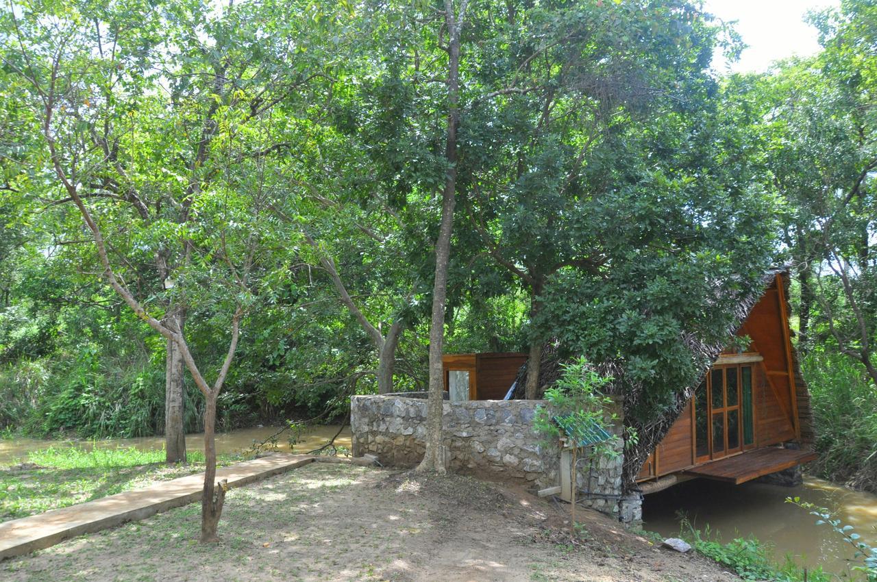 Raintree Villa Dambulla Dış mekan fotoğraf
