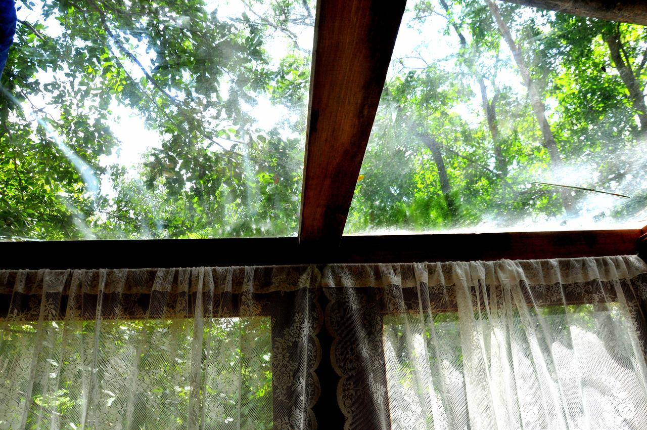 Raintree Villa Dambulla Dış mekan fotoğraf