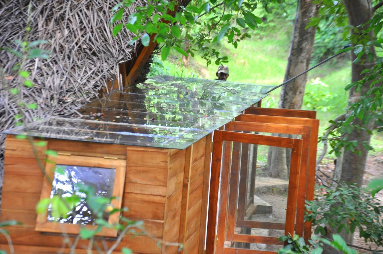 Raintree Villa Dambulla Dış mekan fotoğraf