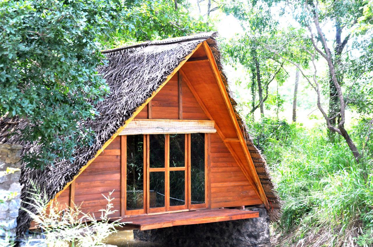 Raintree Villa Dambulla Dış mekan fotoğraf