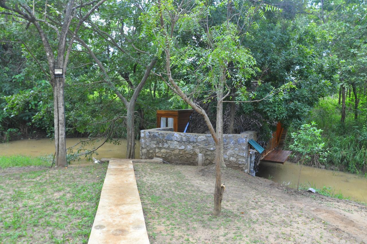 Raintree Villa Dambulla Dış mekan fotoğraf