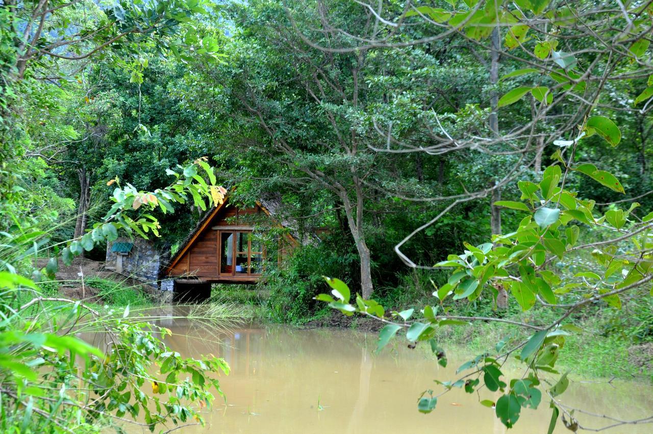 Raintree Villa Dambulla Dış mekan fotoğraf
