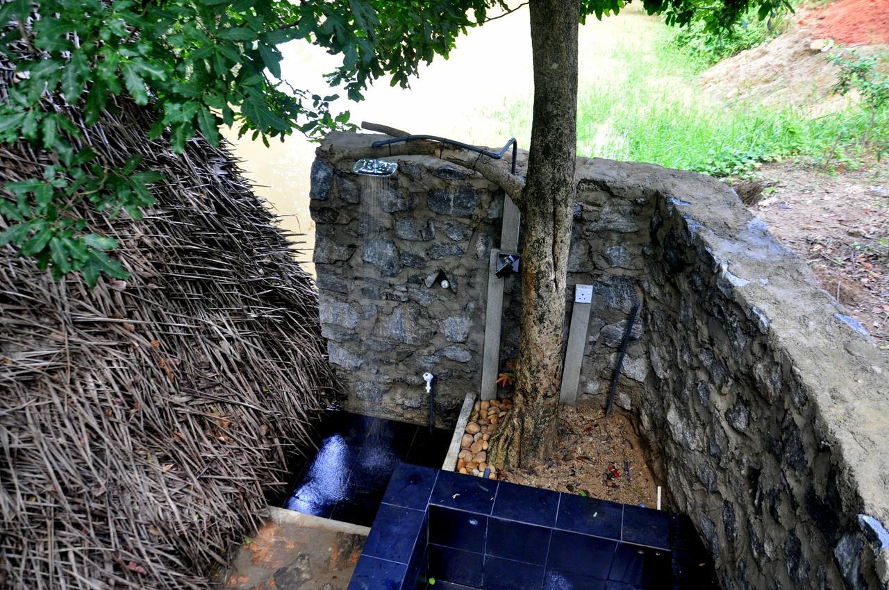 Raintree Villa Dambulla Dış mekan fotoğraf