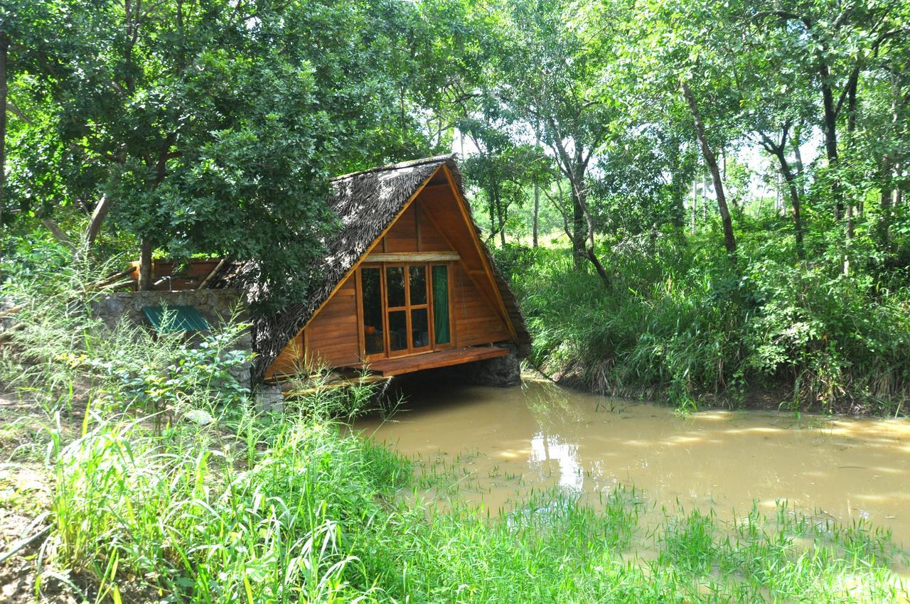Raintree Villa Dambulla Dış mekan fotoğraf