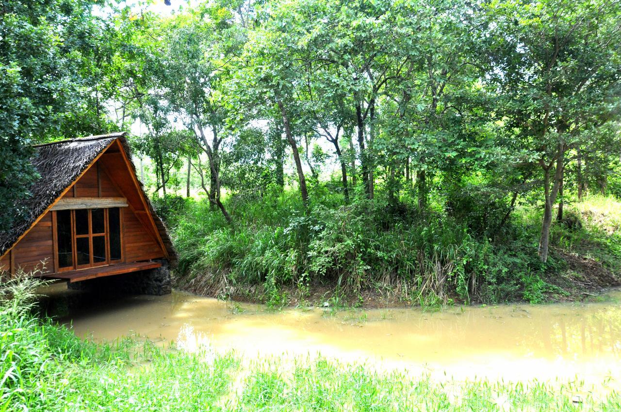 Raintree Villa Dambulla Dış mekan fotoğraf