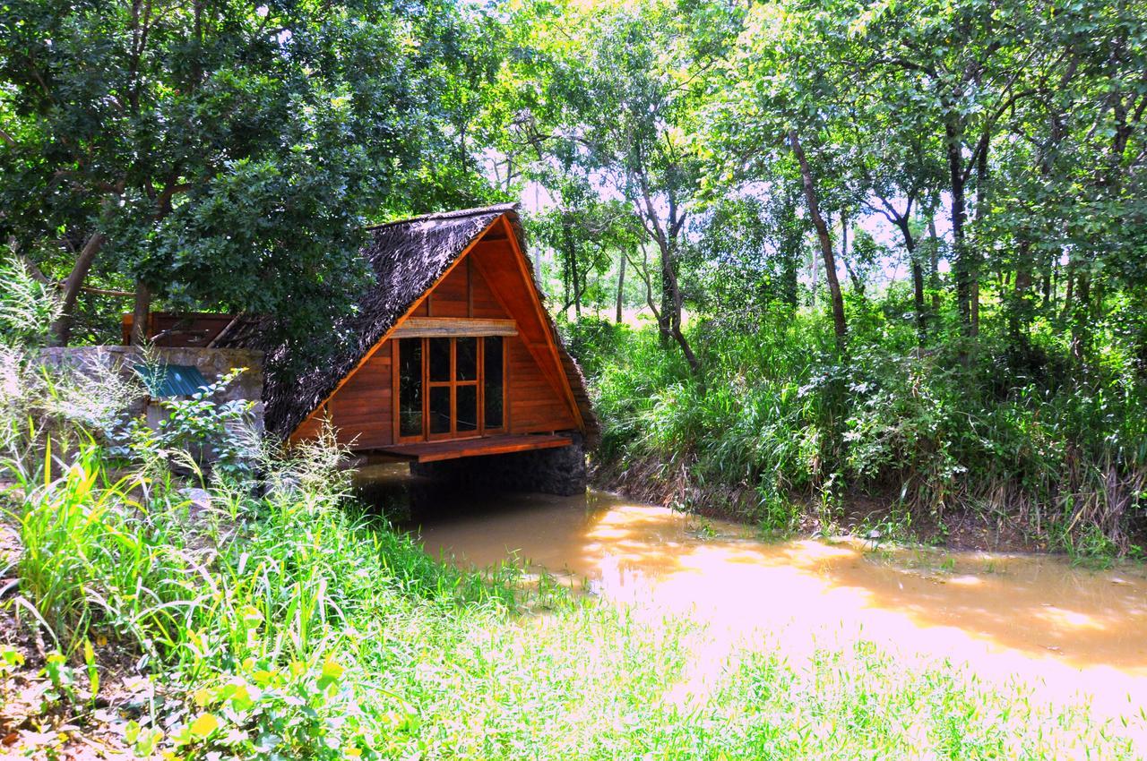 Raintree Villa Dambulla Dış mekan fotoğraf
