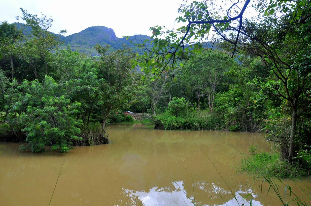 Raintree Villa Dambulla Dış mekan fotoğraf