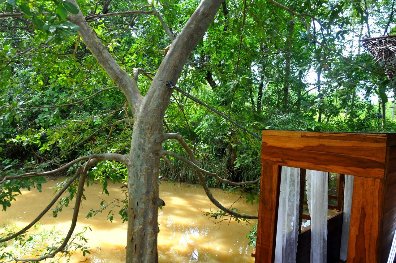 Raintree Villa Dambulla Dış mekan fotoğraf