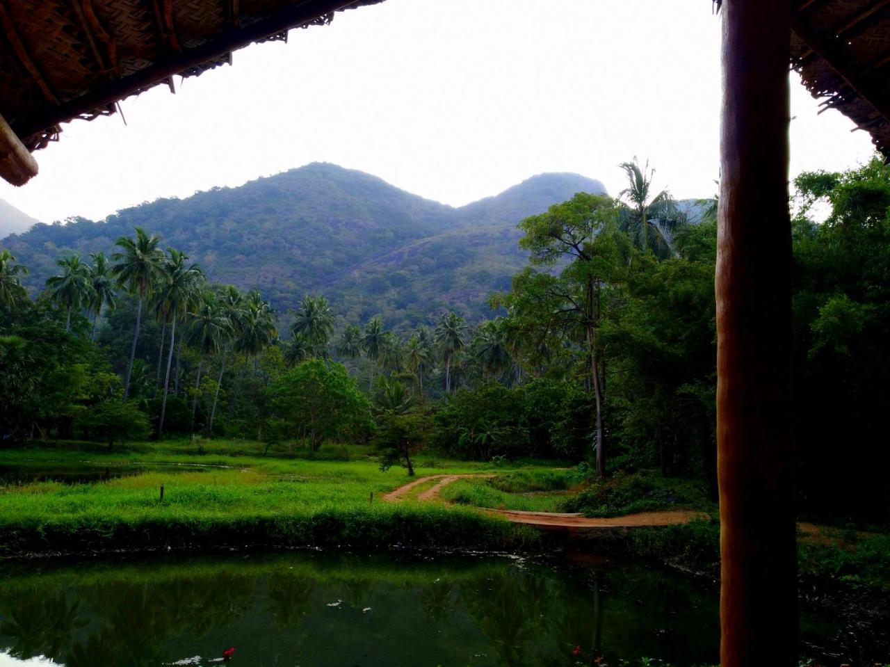 Raintree Villa Dambulla Dış mekan fotoğraf