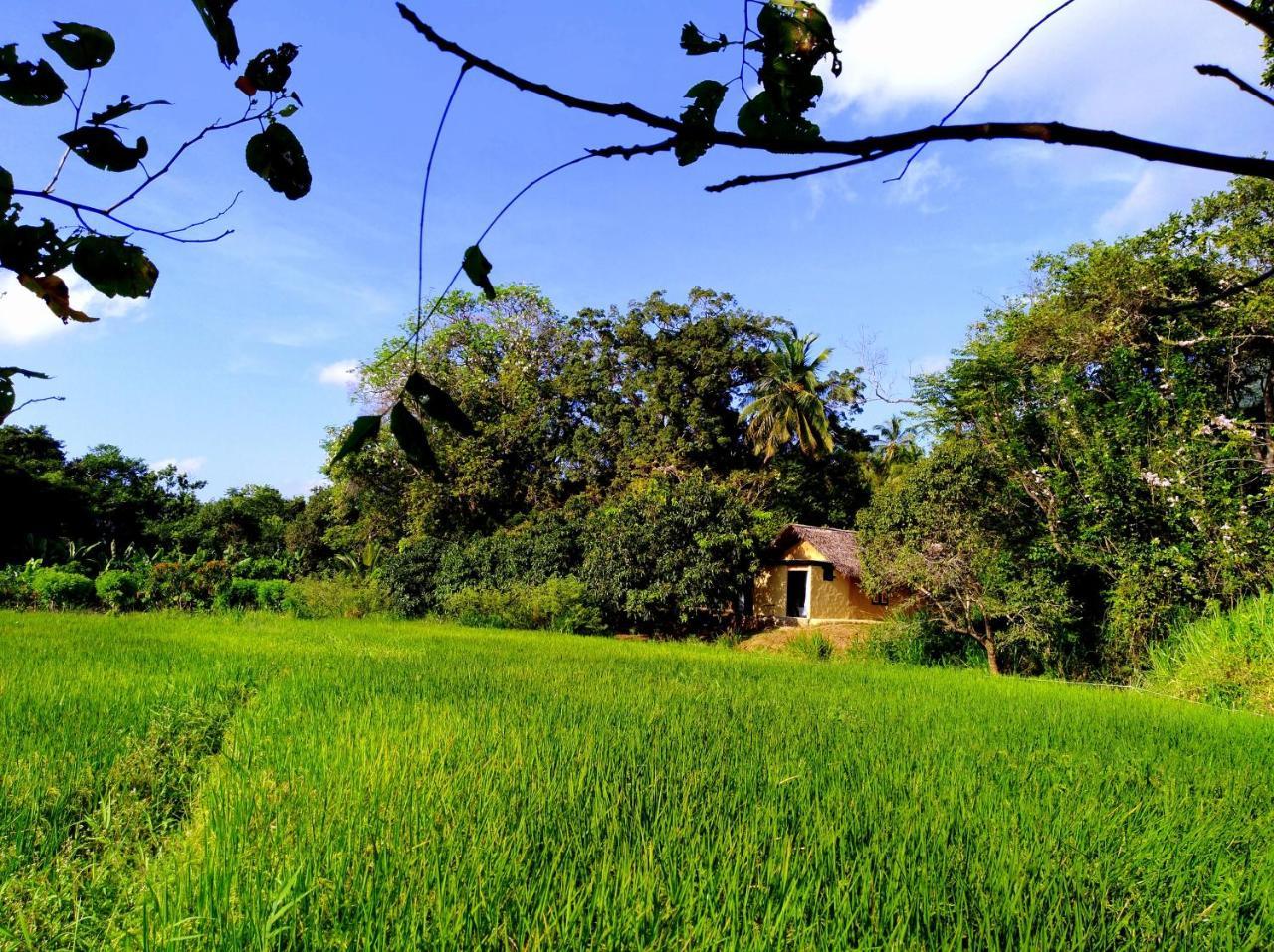 Raintree Villa Dambulla Dış mekan fotoğraf