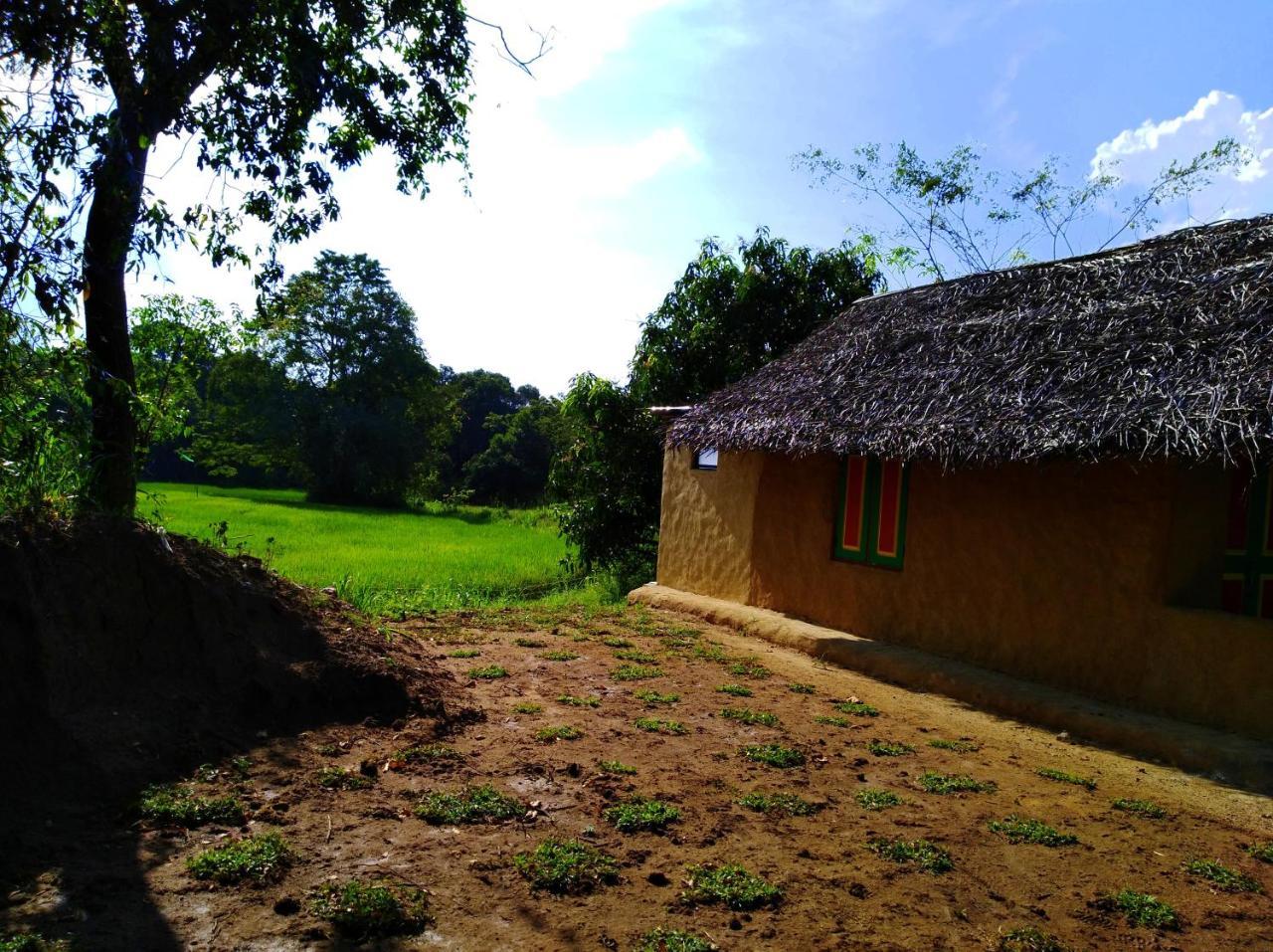 Raintree Villa Dambulla Dış mekan fotoğraf