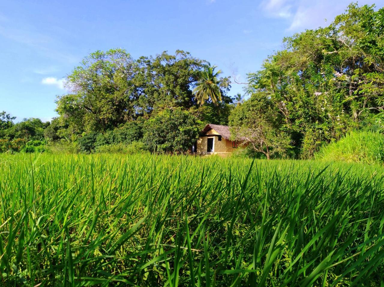 Raintree Villa Dambulla Dış mekan fotoğraf