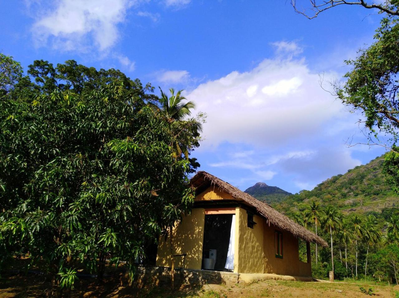 Raintree Villa Dambulla Dış mekan fotoğraf