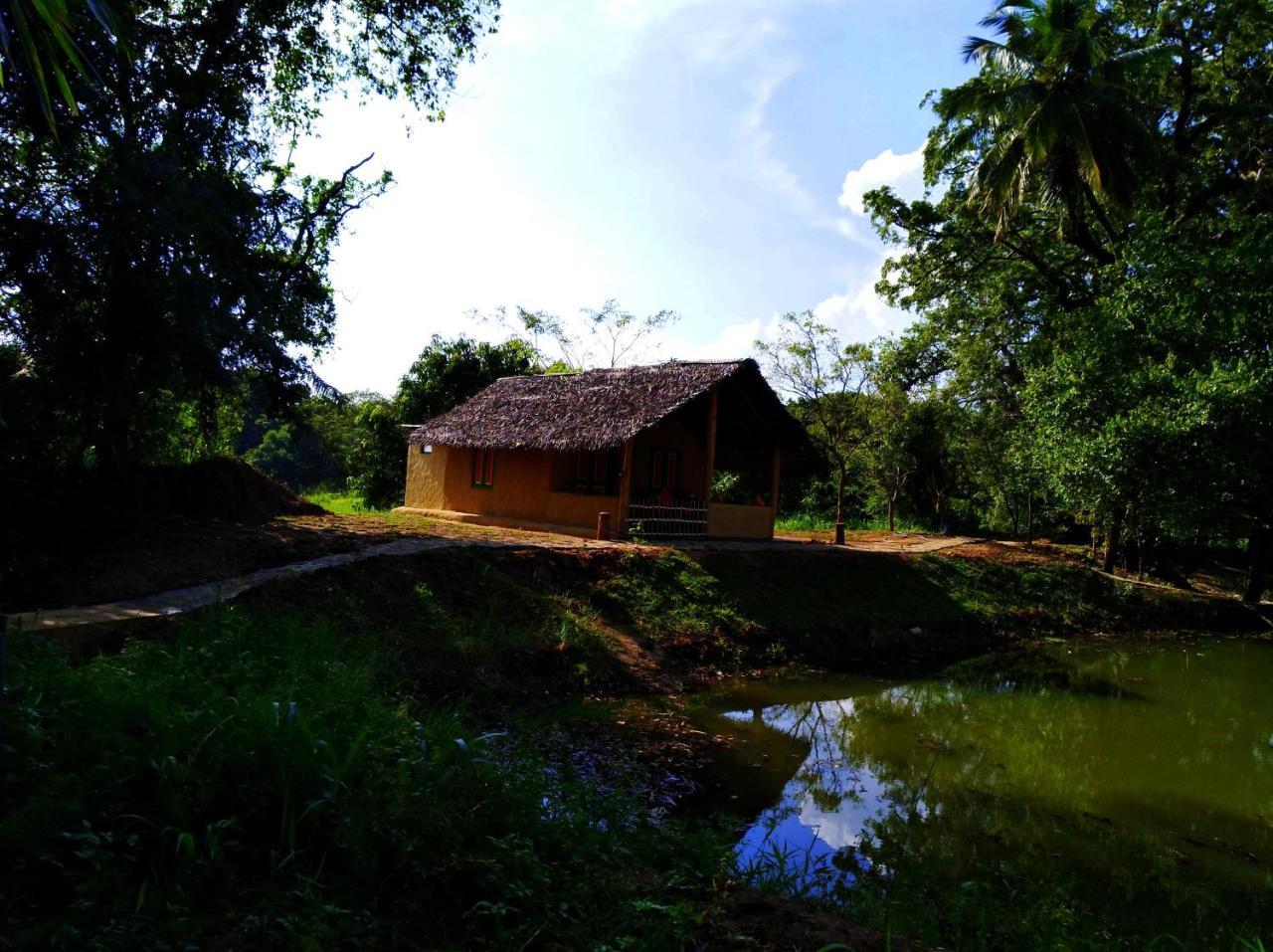 Raintree Villa Dambulla Dış mekan fotoğraf
