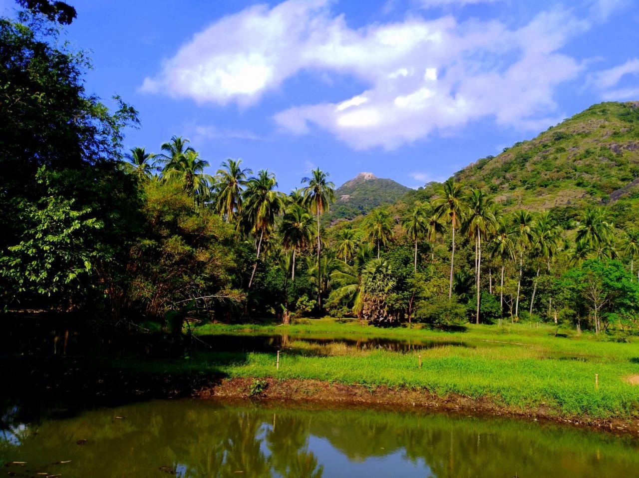Raintree Villa Dambulla Dış mekan fotoğraf