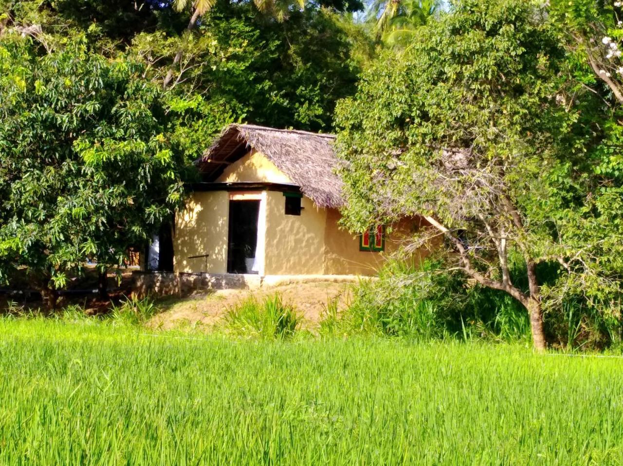 Raintree Villa Dambulla Dış mekan fotoğraf